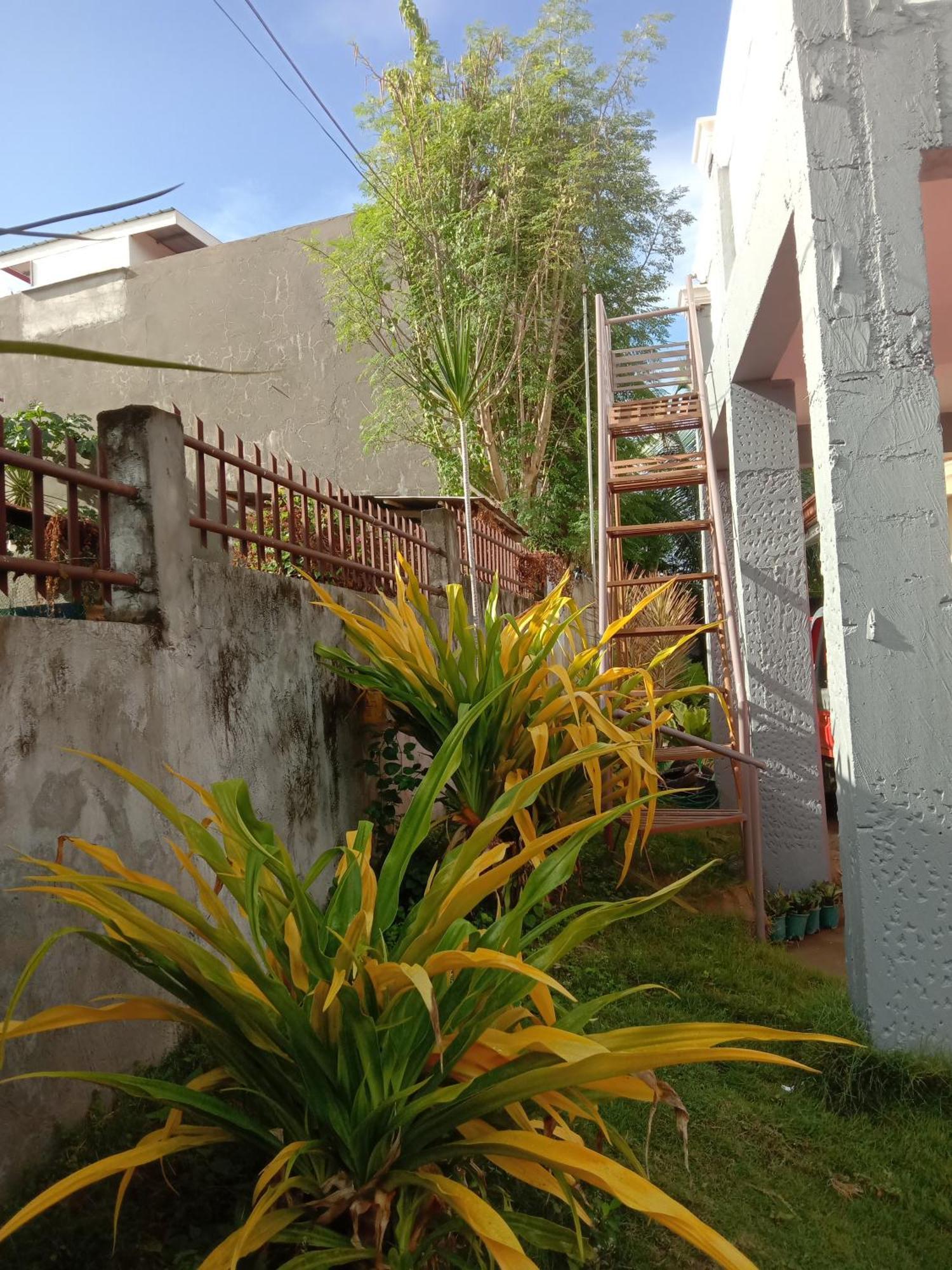 Friz Love Room Rental San Juan  Dış mekan fotoğraf